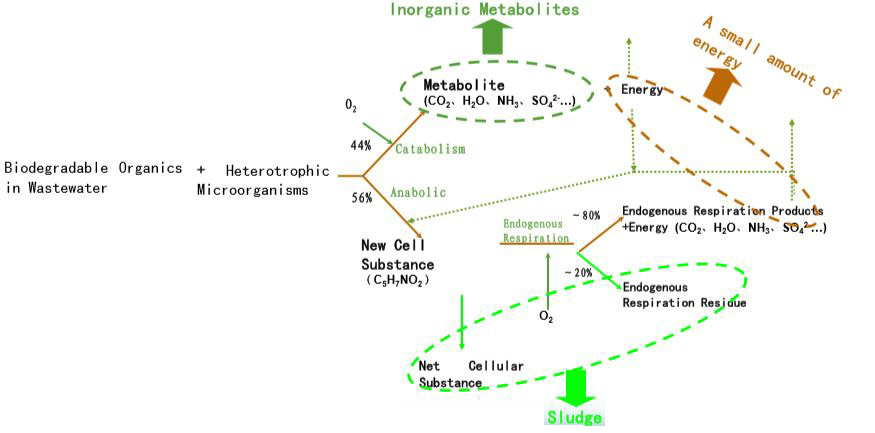 Aerobic Wastewater Treatment