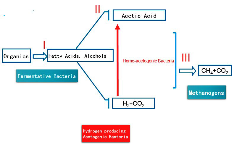 Anaerobic digestion procedure