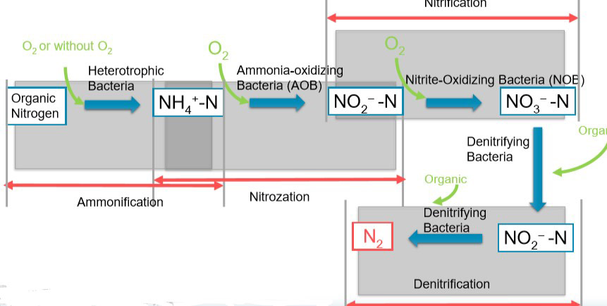 Denitrification process